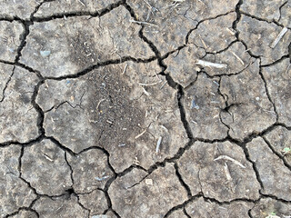 dry riverbed river bottom with cracked mud cracking muddy dirt