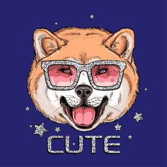 Cute akita inu dog portrait. Dog in shiny sunglasses. Vector illustration. Stylish image for printing on any surface	