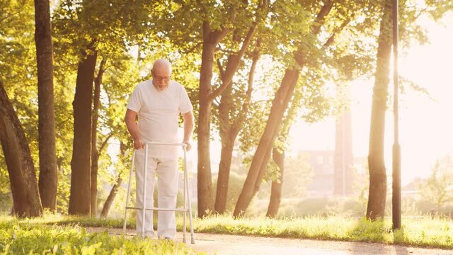 Disabled old man is walking with a walker. Handicapped patient in the park. Assistance, rehabilitation and health care. Golden hour sunset.