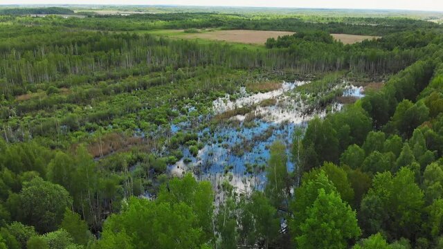 Flooded flood plain field and forest in wild landscape. High altitude wide drone panoramic shot flooded area in summer time