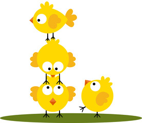 Four cute yellow little birds