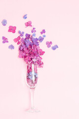 A champagne glass with spring flowers on a pink background, the concept of a party in a minimal season. The idea of the flowering of nature. Purple and pink flowers