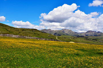 alpe di villandro It is the second largest mountain pasture in Europe south tyrol italy
