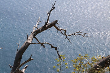fotos hechas en Calpe con sus lindas calas y montaña 
s