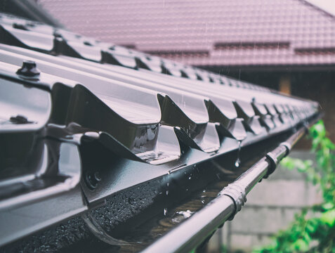 The rain falling on the metal roof