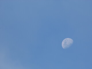 The Moon
