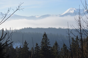 fog over the mountains in winter