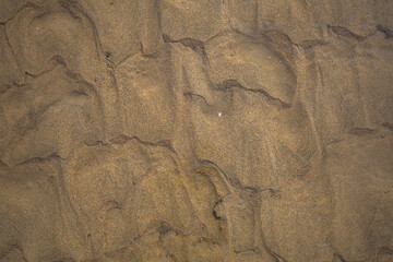 파도가 만들어낸 모래의 결