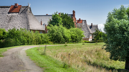 Altes Marschhufendorf an der mittleren Elbe im Sommer