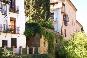 Nice houses with colorful vegetation on the facade