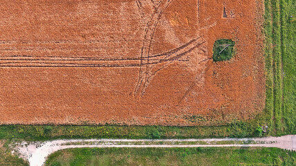Obraz premium A bird's eye view of wheat field