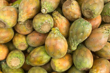 Fruit of the cactus - Opuntia ficus indica