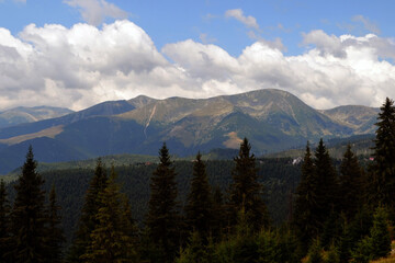 Obraz premium Panorama of Parang mountains, mountains in the Southern Carpathians 
