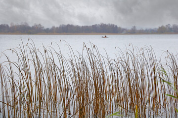 Foggy cloudy autumn morning on the shore of the lake.