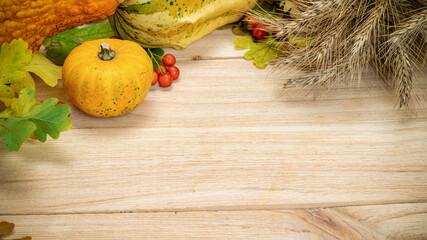 Thanksgiving dinner. Autumn Natural harvest with rye spike orange pumpkin, fall dried leaves, red...