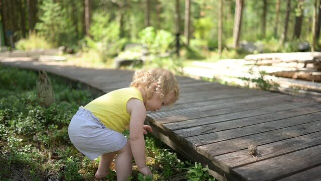 Little funny cute blonde girl child toddler in yellow undershirt and grey shorts walking playing on wooden eco trail outside at summer at front yard countryside. Healthy happy childhood concept. 