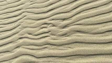 Yello sands patterns underwater texture 
