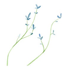 Watercolor meadow minimal flowers. Blue floral illustration for print, blog, poster, stories, template, logo, baby shower, bridal shower, party card.