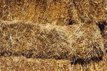 Haystacks on farm, Colorado, USA.