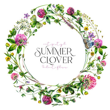 Watercolor Wildflower Wreath made of Clover Flowers and Leaves, Foliage, Greenery, Meadow Grass Isolated on White.