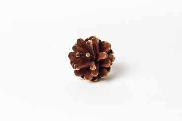Isolated fir cones on a white background