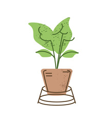 houseplant in stand