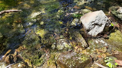 moss on rocks