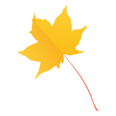Botanical maple autumn leaves isolated on white background. Simple cartoon flat style vector illustration.