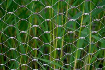 Fototapeta premium Schutzzaun vor Schilf