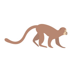 Cute cartoon monkey, flat style illustration.