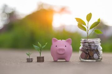 Light bulb Energy saving and pig piggy bank a coin glass on the floor nature background