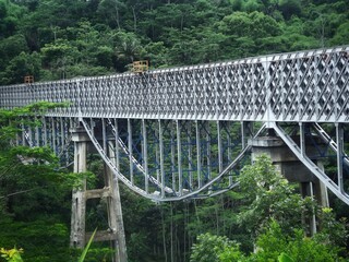Fototapeta premium The bridge in the middle of forest