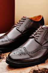 Brown leather men's shoes in classic style on a wooden cut. Close-up. High quality photo