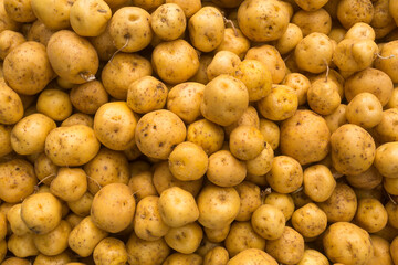 Solanum phureja - Organic creole potato in the traditional Colombian market