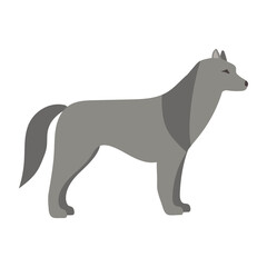 Fototapeta premium Cartoon illustration of a gray wolf
