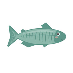 illustration of cute cartoon x-ray fish.