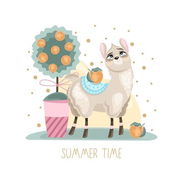 Summer postcard with a cute Llama on a beautiful background. A handwritten greeting. Vector illustration.