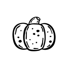 Pumpkin vegetable. Black ink vector illustration. Witch element. Halloween design. Day of the dead. Isolated on white background.