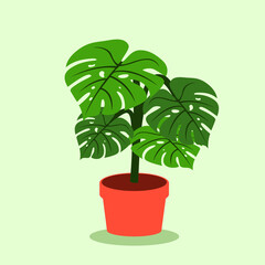 Flat vector design of philodendron leaf, indoor decoration plant