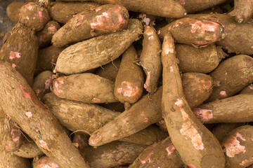 Manihot esculenta in the traditional Colombian market