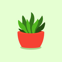 Flat vector design of succulents, indoor decoration plant