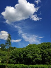 Landscape with clouds