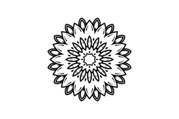 Fototapeta premium mandala circular pattern flower