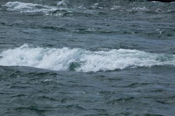 Fototapeta premium Cascades on the Niagara River