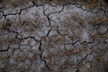 dry and cracked soil in the sun from the heat