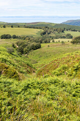 Fototapeta na wymiar Exmoor National Park - A view from Dunkery Hill below Dunkery Beacon down Sweetworthy Combe, Somerset UK