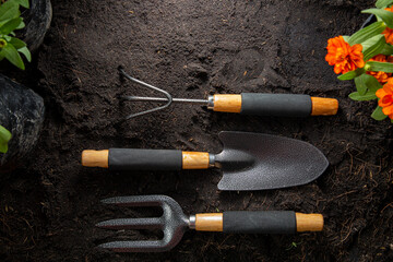 Gardening tools for beginning your small garden plant