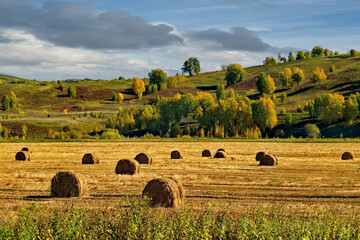Russia. South of Western Siberia, Mountain Altai. Early autumn on mown fields with piles of hay near the city of Gorno-Altaysk.