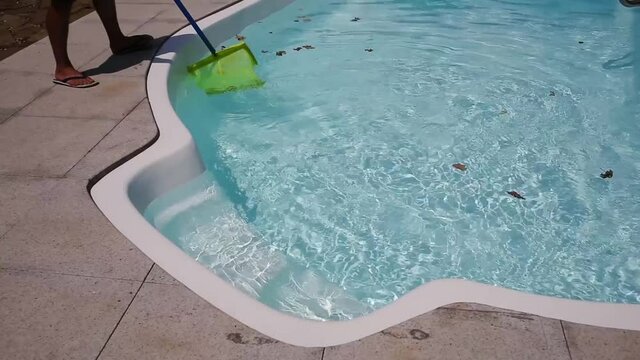 cleaning of garbage and leaves in swimming pool with net outdoors in summer.