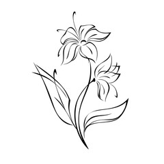 ornament 1877. twig with leaves and with stylized flowers in black lines on a white background